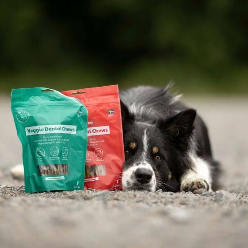 Het nieuwste product van Buddy: Dental kauwsticks