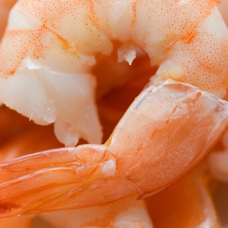 Een luxesnack voor honden en katten uit de zee: Pawfect gevriesdroogde garnalen