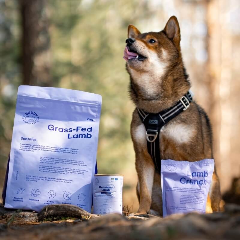 Buddy Pet Foods Buddy Pet Foods