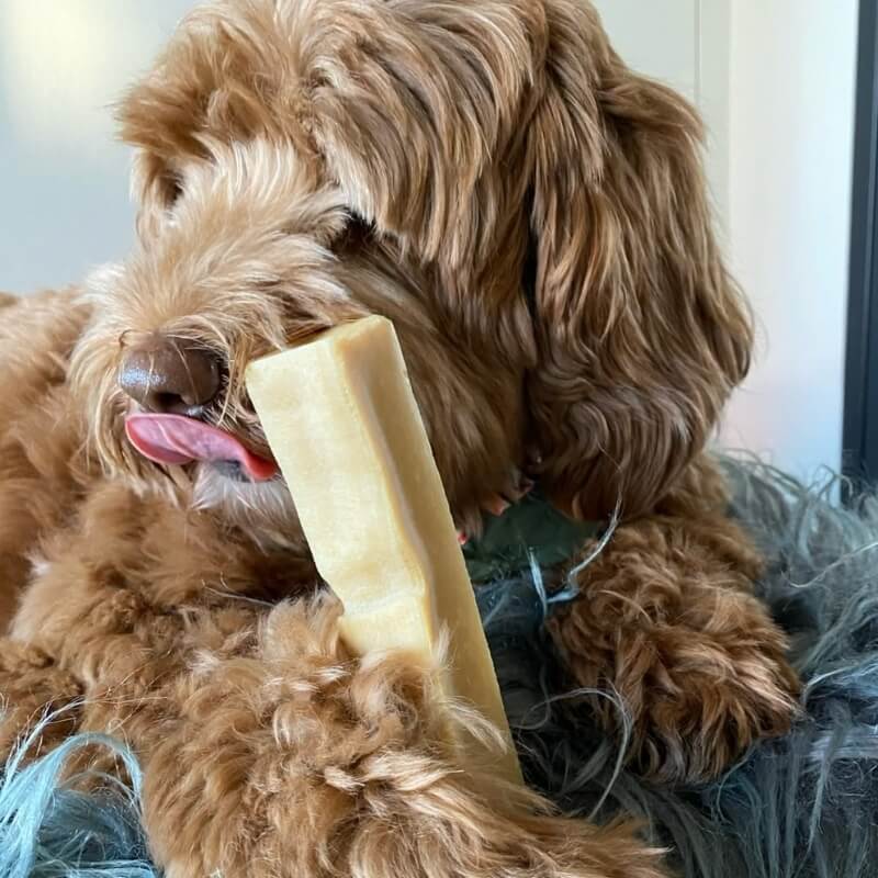 Himalayan Cheese Bars