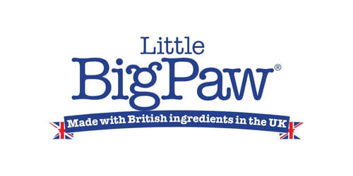 Little Big Paw