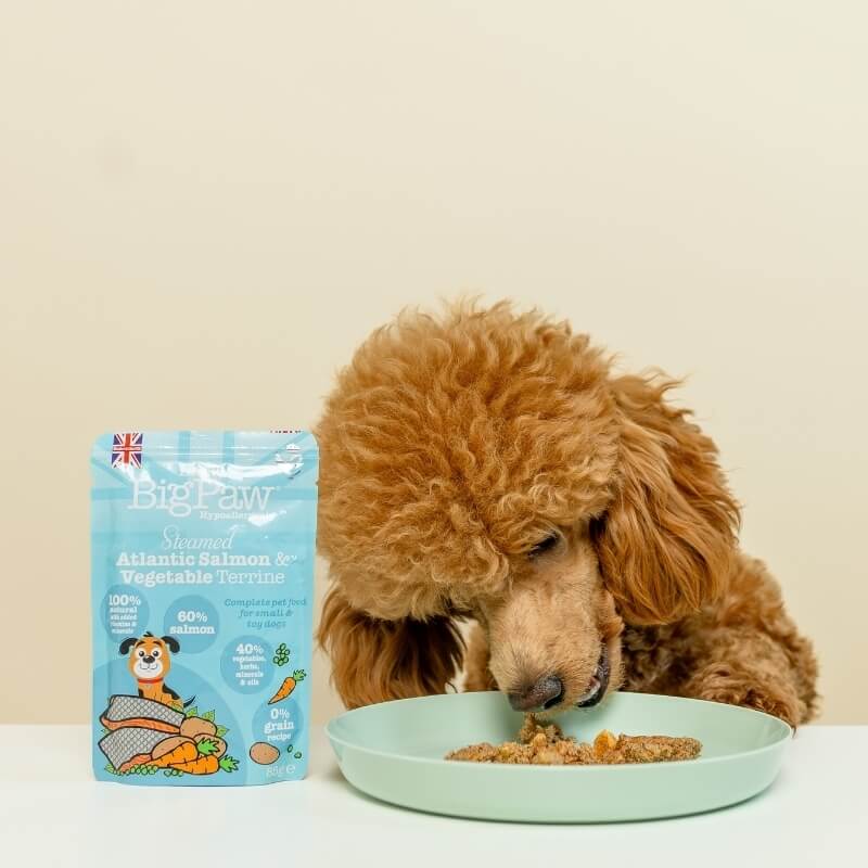 Little Big Paw Little Big Paw